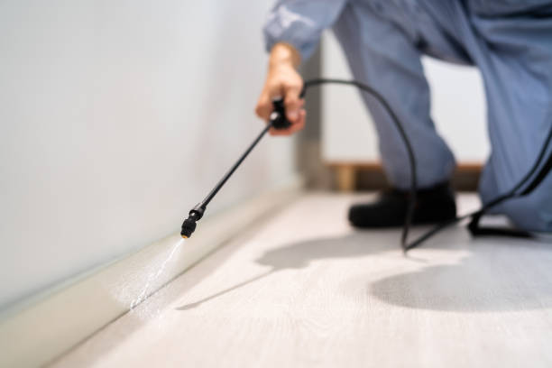Licensed Termite Control service in Boley, OK - Nex Pest Control