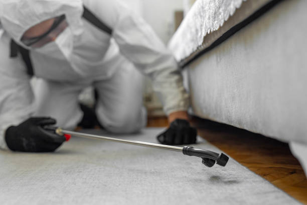 Professional Termite Control technician working in Boley, OK