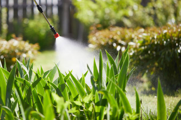 24/7 Emergency Termite Control experts in Boley, OK