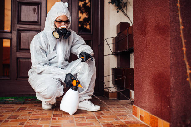 Reliable Termite Control contractor in Boley, OK by Nex Pest Control