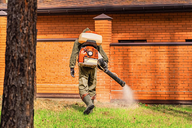 Top rated local Termite Control specialists in Boley, OK